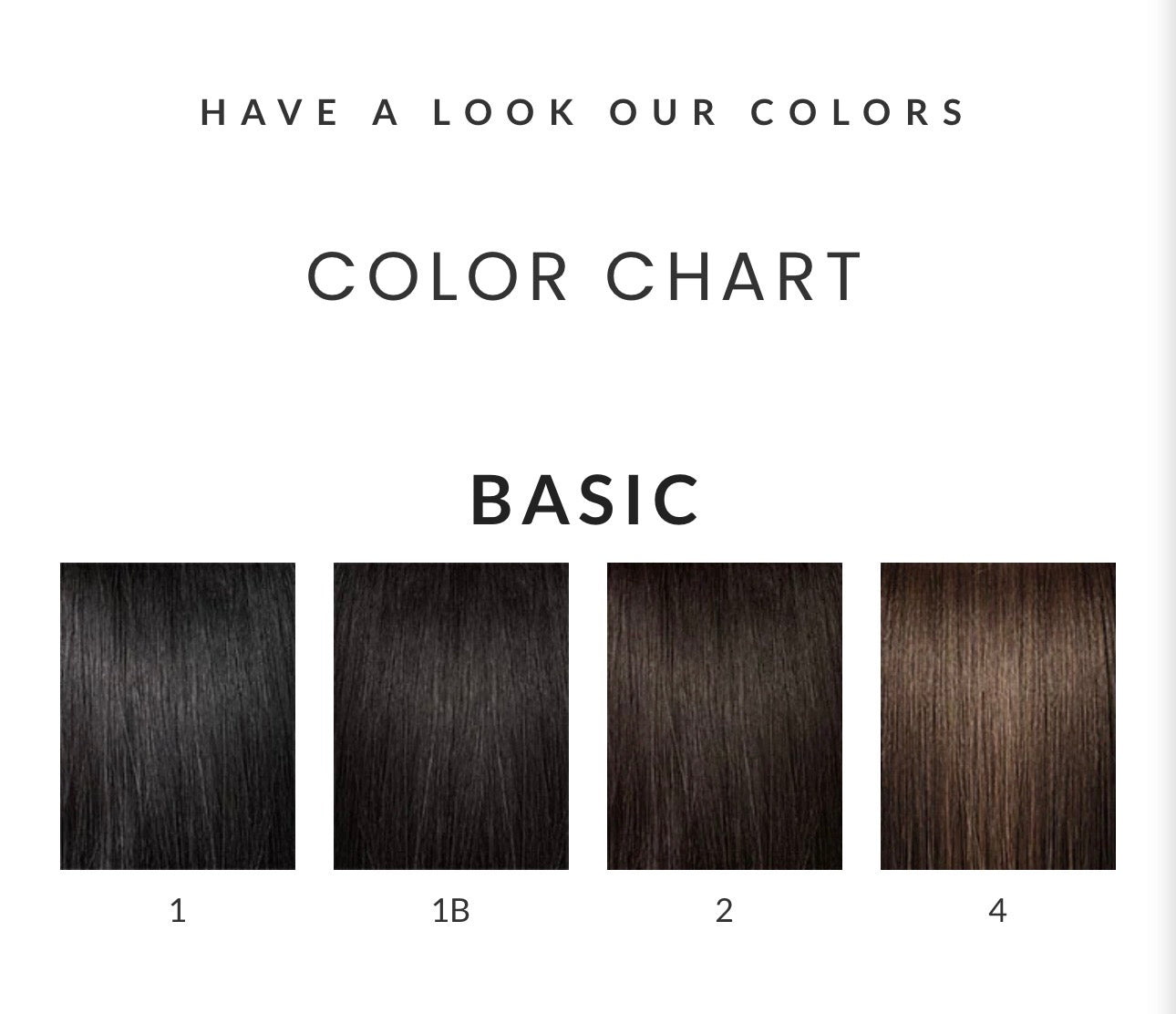 Step 3: Custom Color Form (Optional )